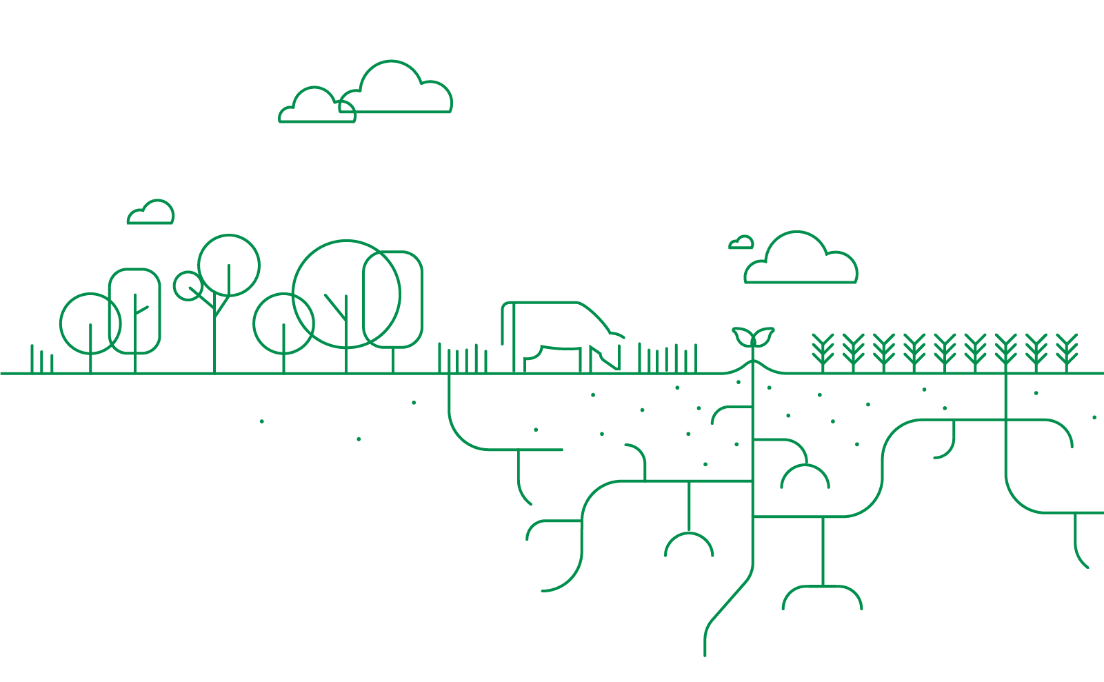 carbon farming landowners