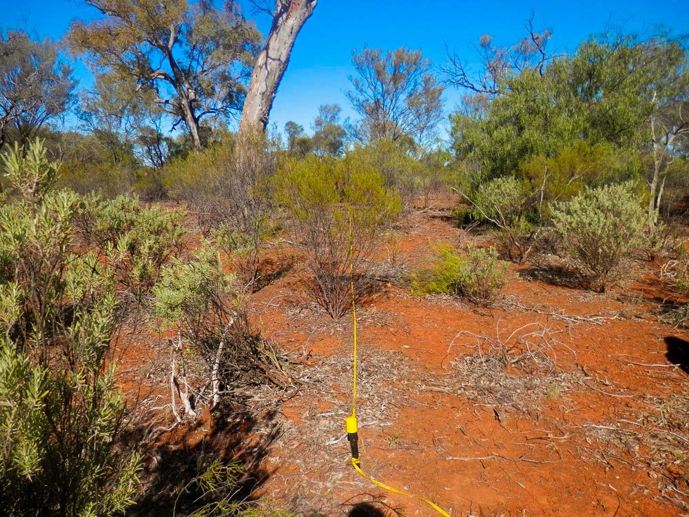 Mount Oxley Native Forest Protection - Avoid deforestation