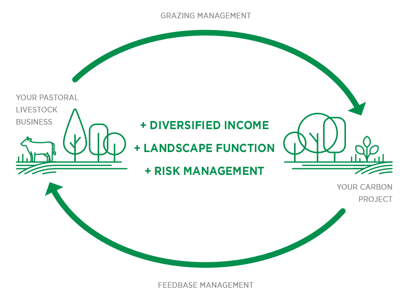 humain-induced regeneration infographic