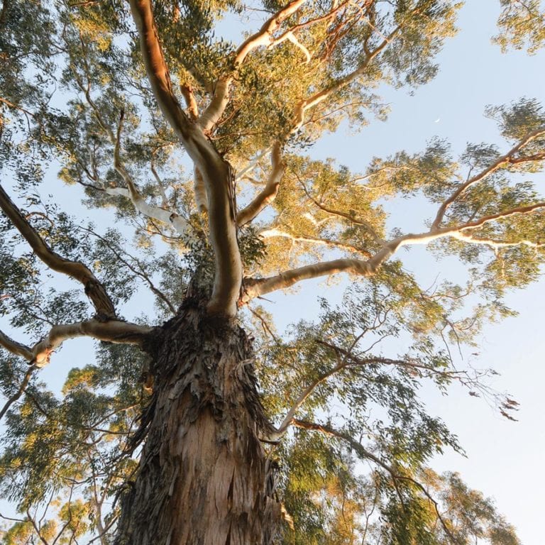 selecting a carbon farming method