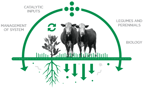 soil carbon project info graphic