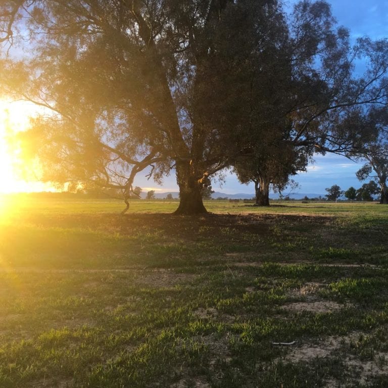 soil carbon project mitigate climate change