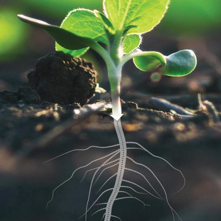 soil organic carbon sequestration