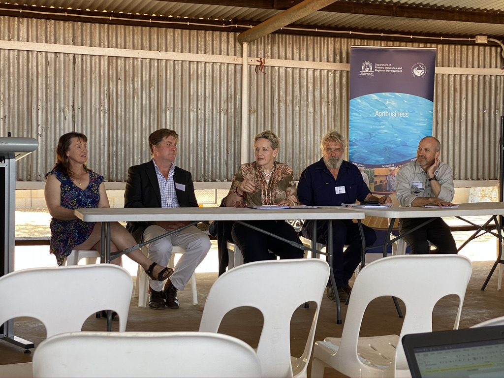 Southern Rangelands Round Table Panel