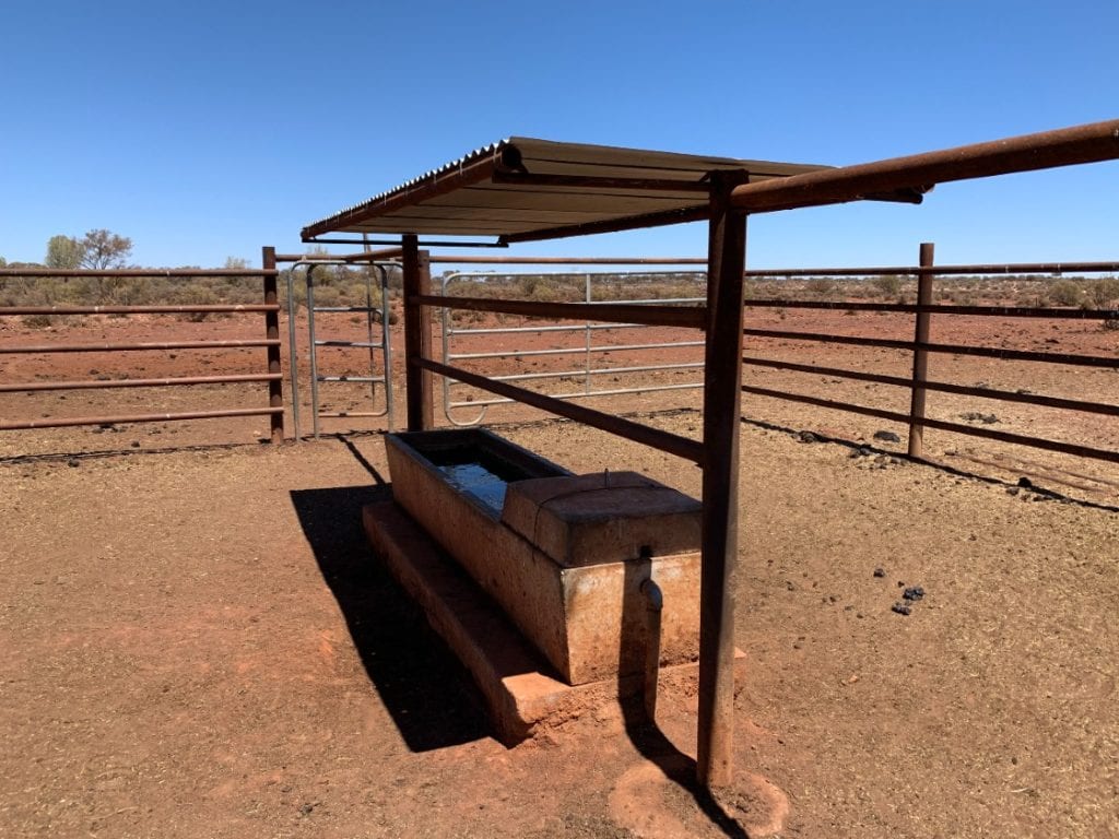 Shade structure over water trough
